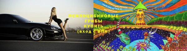 амф Абинск