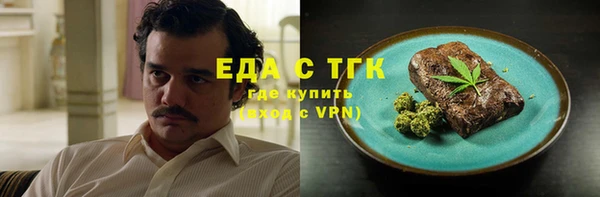 индика Алзамай