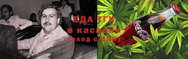 индика Алзамай