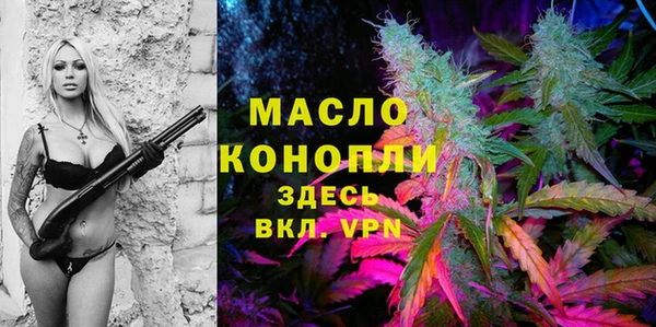 гидра Абаза
